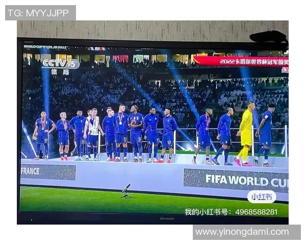 足球球星背后的奋斗与荣耀：从技艺到人格的全面解析